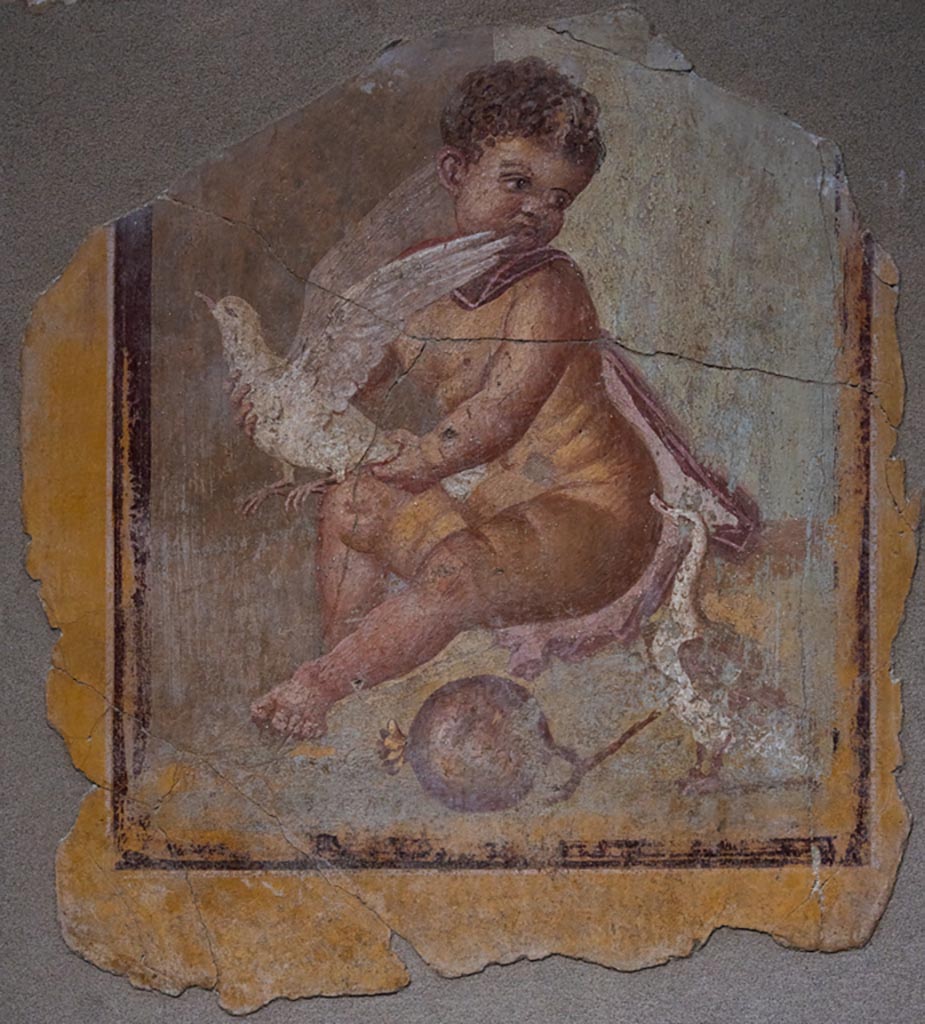 I.9.3 Pompeii. January 2024. 
Room 10, painting of the boy Adonis/Successus(?), from centre of north wall. PAP inventory number 41661. 
Photo courtesy of Johannes Eber.

