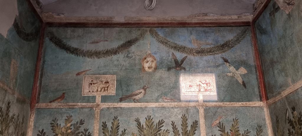 I.9.5 Pompeii. December 2023. Room 5, detail from upper east wall. Photo courtesy of Miriam Colomer.