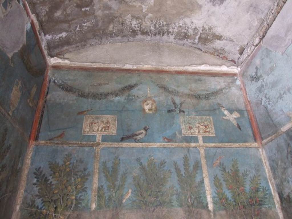 I.9.5 Pompeii. March 2009. Room 5. Cubiculum. East wall upper part.