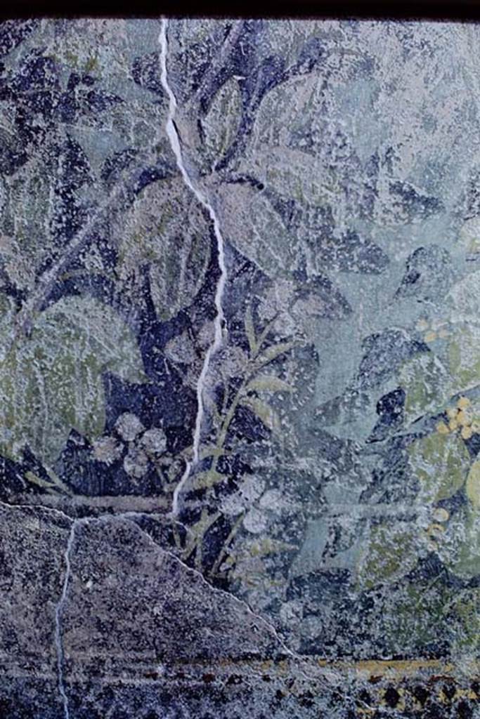 I.9.5 Pompeii, 1968. Room 5, detail of painted flowers. Photo by Stanley A. Jashemski.
Photo by Stanley A. Jashemski.
Source: The Wilhelmina and Stanley A. Jashemski archive in the University of Maryland Library, Special Collections (See collection page) and made available under the Creative Commons Attribution-Non Commercial License v.4. See Licence and use details.
J68f0186