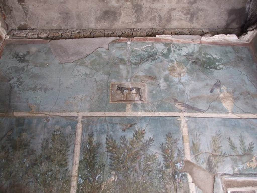I.9.5 Pompeii. March 2009. Room 5. Cubiculum. South wall. Upper part with painting of Apis bull, birds, garlands and vase.