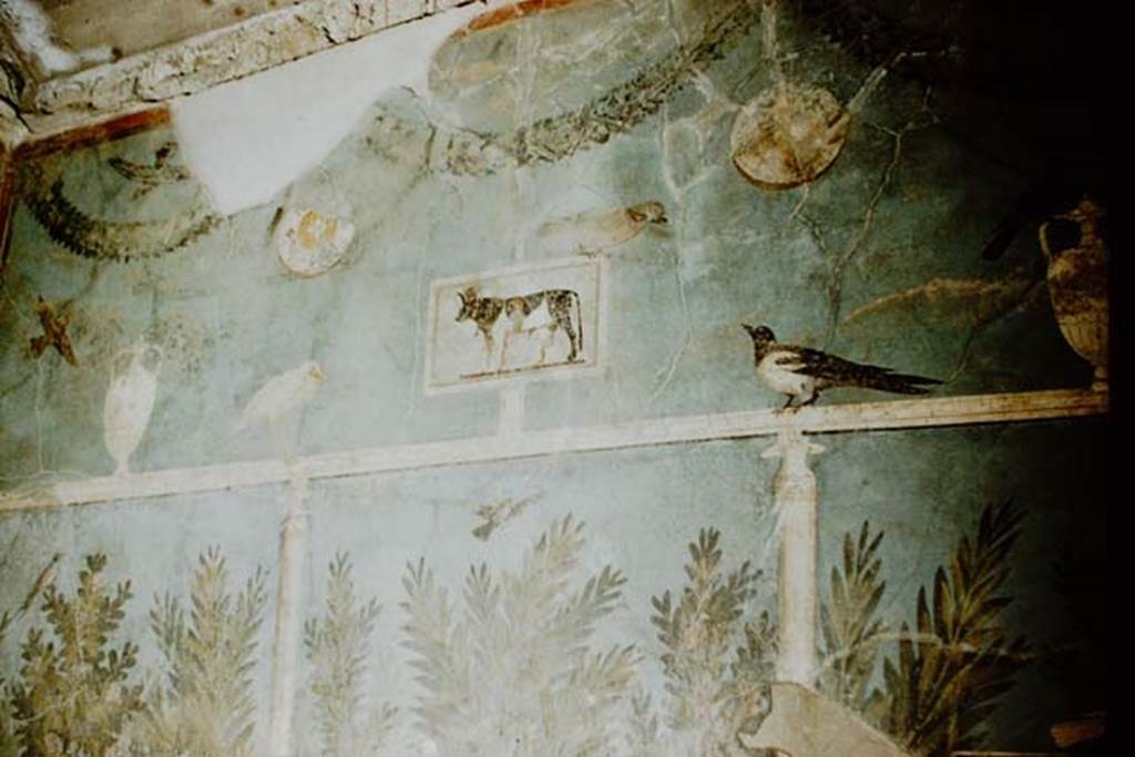 1.9.5 Pompeii. 1957. Room 5, upper part of south wall. Photo by Stanley A. Jashemski.
Source: The Wilhelmina and Stanley A. Jashemski archive in the University of Maryland Library, Special Collections (See collection page) and made available under the Creative Commons Attribution-Non Commercial License v.4. See Licence and use details.
J57f0173