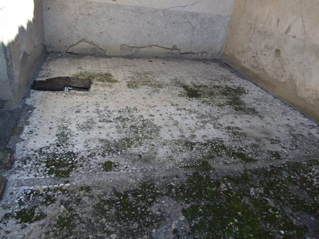 I.9.5 Pompeii. March 2009. Room 6. Ala. Mosaic floor.