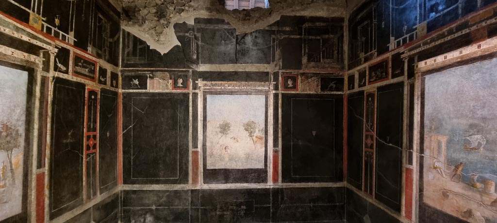I.9.5 Pompeii. December 2023. Room 10, looking towards north wall. Photo courtesy of Miriam Colomer.