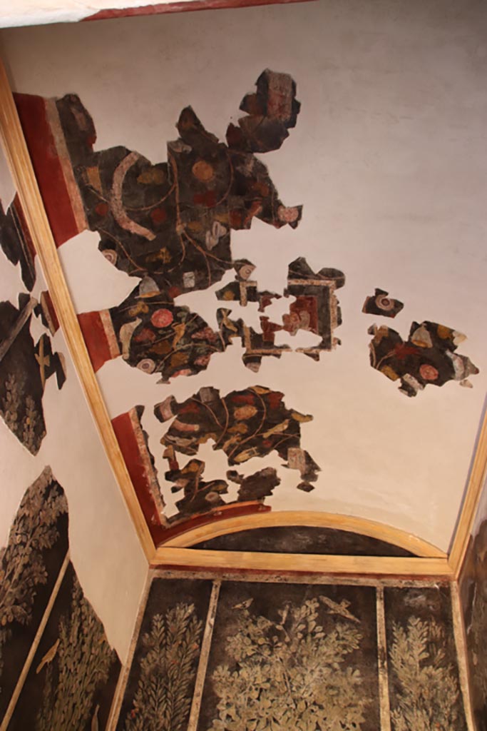 .9.5 Pompeii. October 2022. Room 11, looking east across ceiling. Photo courtesy of Klaus Heese