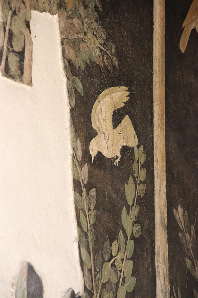 I.9.5 Pompeii. October 2024. 
Room 11, detail from upper north wall. Photo courtesy of Klaus Heese
