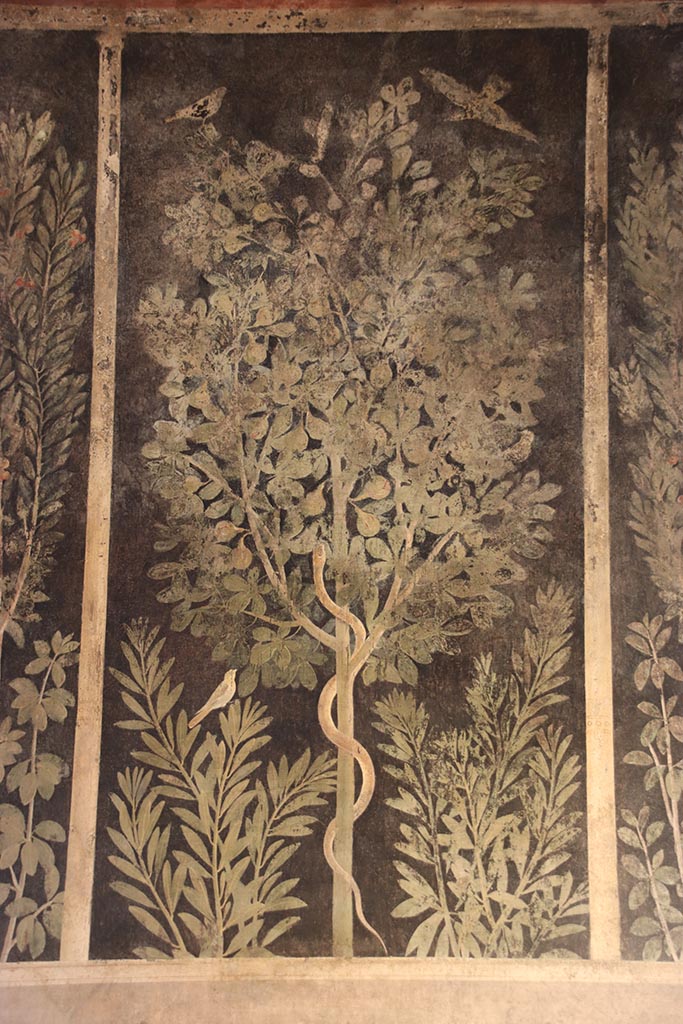 1.9.5 Pompeii. October 2024.
Room 11, detail from centre of east wall. Photo courtesy of Klaus Heese.
