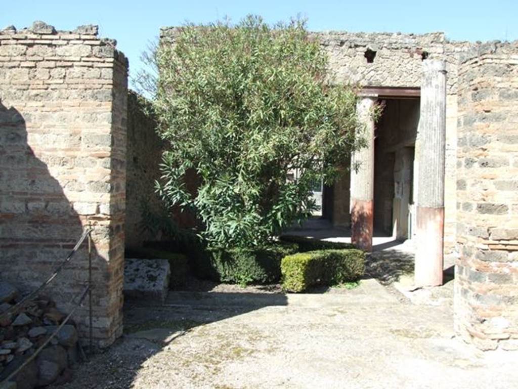 I.9.5 Pompeii. March 2009. Room 17. Triclinium. Looking north to peristyle.
