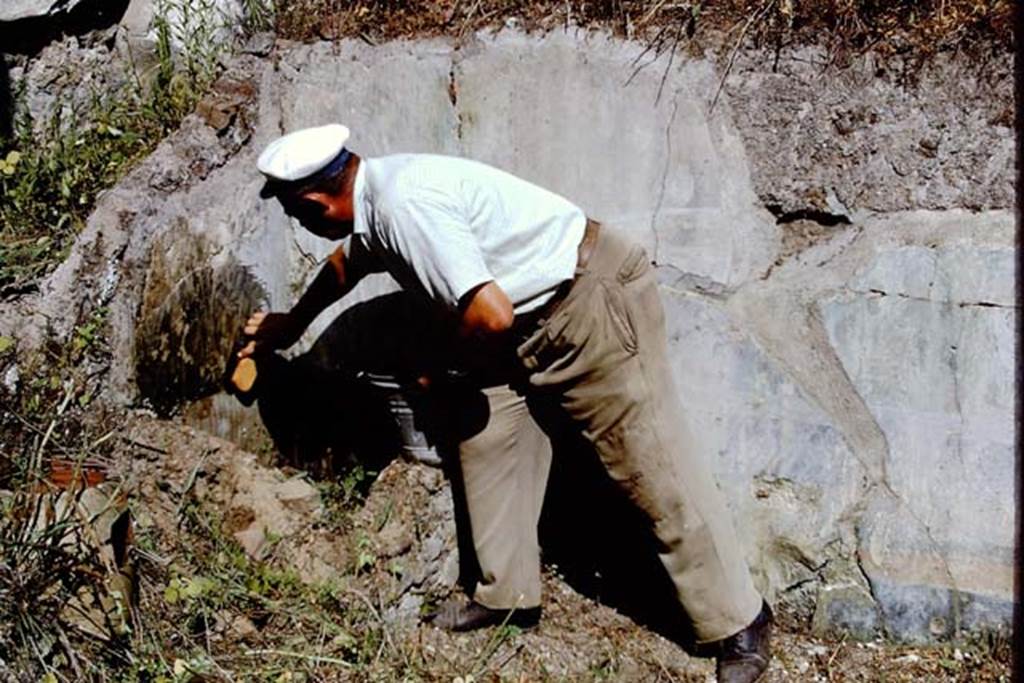 I.9.14 Pompeii. 1968. Room 2, north-west corner of garden wall, fresco being cleaned for photo – now definitely frowned upon.   Photo by Stanley A. Jashemski.
Source: The Wilhelmina and Stanley A. Jashemski archive in the University of Maryland Library, Special Collections (See collection page) and made available under the Creative Commons Attribution-Non Commercial License v.4. See Licence and use details.
J68f1416

