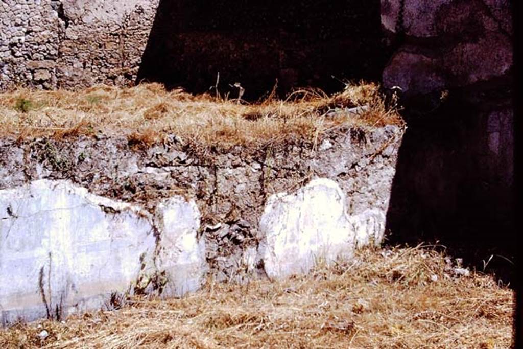 I.9.14 Pompeii. 1972. Room 2, remains of garden painting on north garden wall.
Photo by Stanley A. Jashemski. 
Source: The Wilhelmina and Stanley A. Jashemski archive in the University of Maryland Library, Special Collections (See collection page) and made available under the Creative Commons Attribution-Non Commercial License v.4. See Licence and use details. J72f0132
