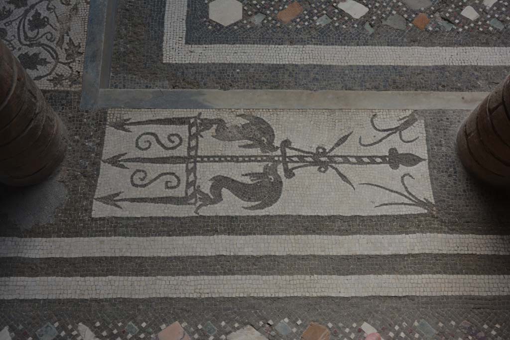 I.10.4 Pompeii. September 2019. Room 46, mosaic of two dolphins and a trident.
Foto Annette Haug, ERC Grant 681269 DÉCOR.