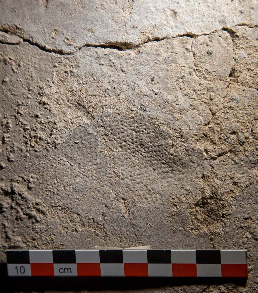 Fig. 6 � Pomp�i, Casa del Menandro � D�tail d�une empreinte de genou ( ?), prot�g� par une pi�ce d��toffe sur l�enduit de lissage du four.
Clich� : Fr. Pauvarel / EFR. Utilisation soumise � CC-BY-NC-SA 4.0 
