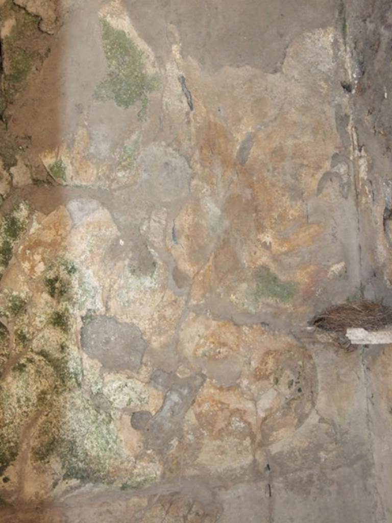 I.10.7 Pompeii. March 2009. Room 9, remains of lararium on south wall.
The heads of the two serpents, one above the other, can just be made out slightly above the white marble shelf.
