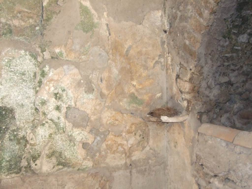 I.10.7 Pompeii. March 2009. Room 9, south-west corner, remains of lararium, with two serpents. See Fr�hlich, T., 1991. Lararien und Fassadenbilder in den Vesuvst�dten. Mainz: von Zabern. (L16).

