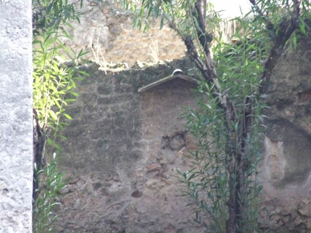 I.10.7 Pompeii. December 2007. Room 11, south wall of garden area.