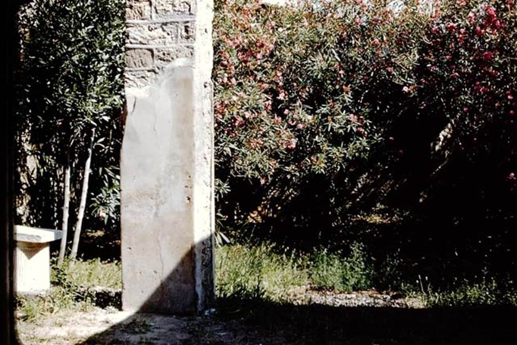 I.10.7 Pompeii. 1959. Looking south across north portico to garden area. Photo by Stanley A. Jashemski.
Source: The Wilhelmina and Stanley A. Jashemski archive in the University of Maryland Library, Special Collections (See collection page) and made available under the Creative Commons Attribution-Non Commercial License v.4. See Licence and use details.
J59f0180   
