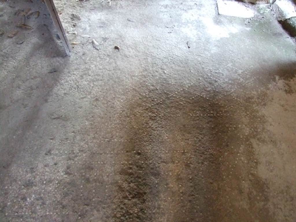 I.10.7 Pompeii. March 2009. Room 12.  Triclinium.  Floor.
