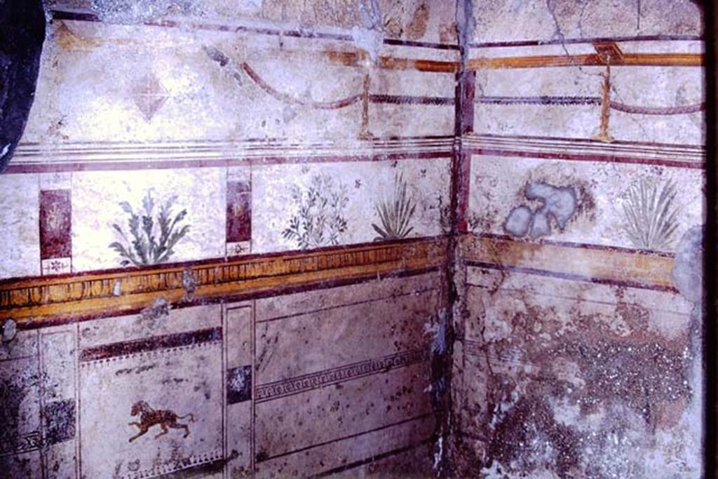 I.10.8 Pompeii. 1966. Room 8, south-east corner. Photo by Stanley A. Jashemski.
Source: The Wilhelmina and Stanley A. Jashemski archive in the University of Maryland Library, Special Collections (See collection page) and made available under the Creative Commons Attribution-Non Commercial License v.4. See Licence and use details.
J66f0525