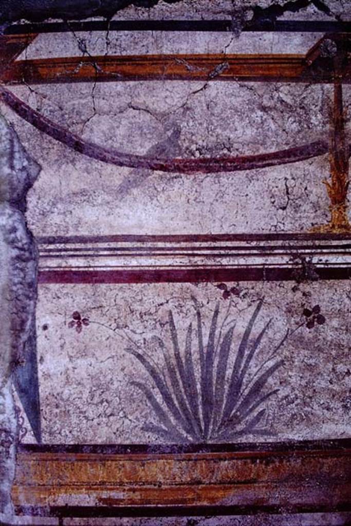 I.10.8 Pompeii. 1966. Painted plaster on south wall in tablinum. Photo by Stanley A. Jashemski.
Source: The Wilhelmina and Stanley A. Jashemski archive in the University of Maryland Library, Special Collections (See collection page) and made available under the Creative Commons Attribution-Non Commercial License v.4. See Licence and use details.
J66f0521