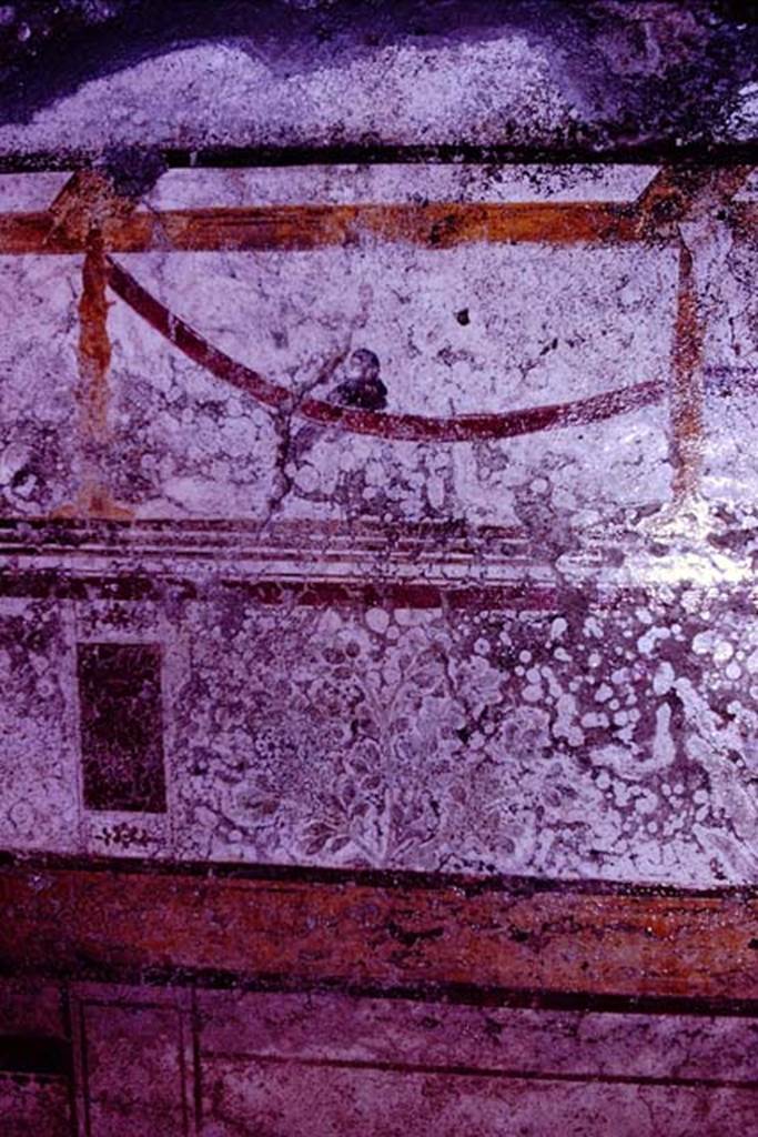 I.10.8 Pompeii. 1966. Room 8, detail from upper north end of west wall, with painted bird on garland. Photo by Stanley A. Jashemski.
Source: The Wilhelmina and Stanley A. Jashemski archive in the University of Maryland Library, Special Collections (See collection page) and made available under the Creative Commons Attribution-Non Commercial License v.4. See Licence and use details.
J66f0529