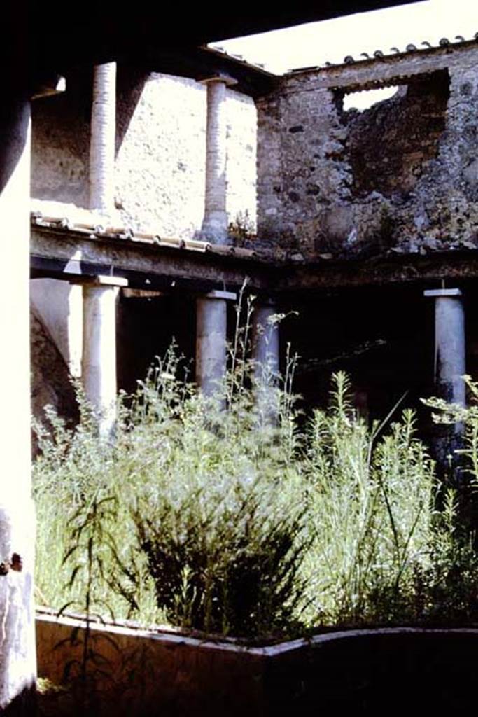 I.10.11 Pompeii. 1968. Room 10, looking towards the north-east corner of the peristyle. 
Photo by Stanley A. Jashemski.
Source: The Wilhelmina and Stanley A. Jashemski archive in the University of Maryland Library, Special Collections (See collection page) and made available under the Creative Commons Attribution-Non Commercial License v.4. See Licence and use details.
J68f0485
