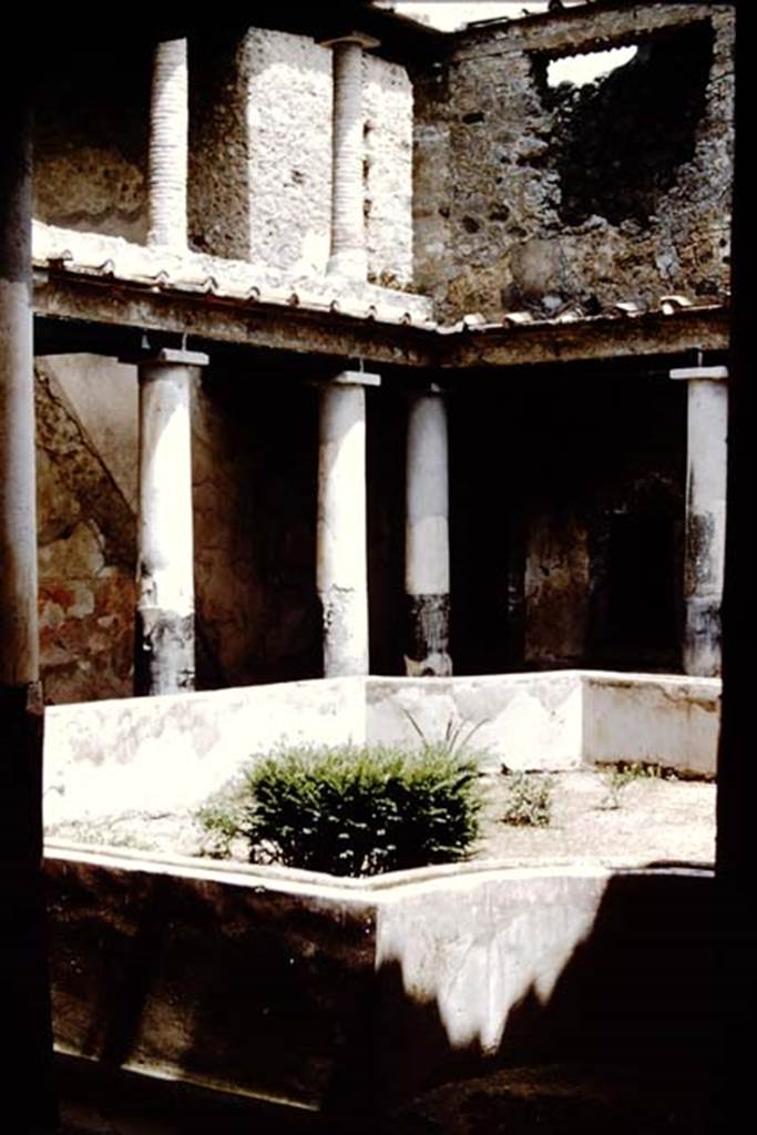I.10.11 Pompeii. 1961. Room 10, looking towards the north-east corner of the peristyle.  Photo by Stanley A. Jashemski.
Source: The Wilhelmina and Stanley A. Jashemski archive in the University of Maryland Library, Special Collections (See collection page) and made available under the Creative Commons Attribution-Non Commercial License v.4. See Licence and use details.
J61f0342
