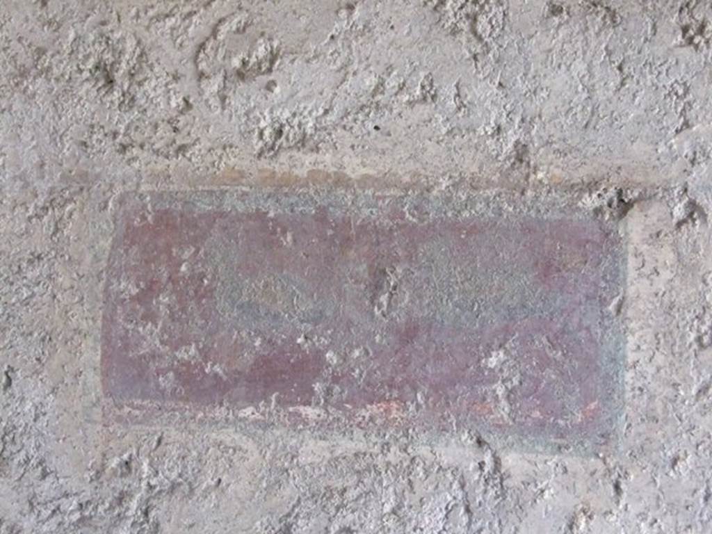 I.10.11 Pompeii.  March 2009.  Room 10.  Peristyle.  North wall.  Painting of ducks.