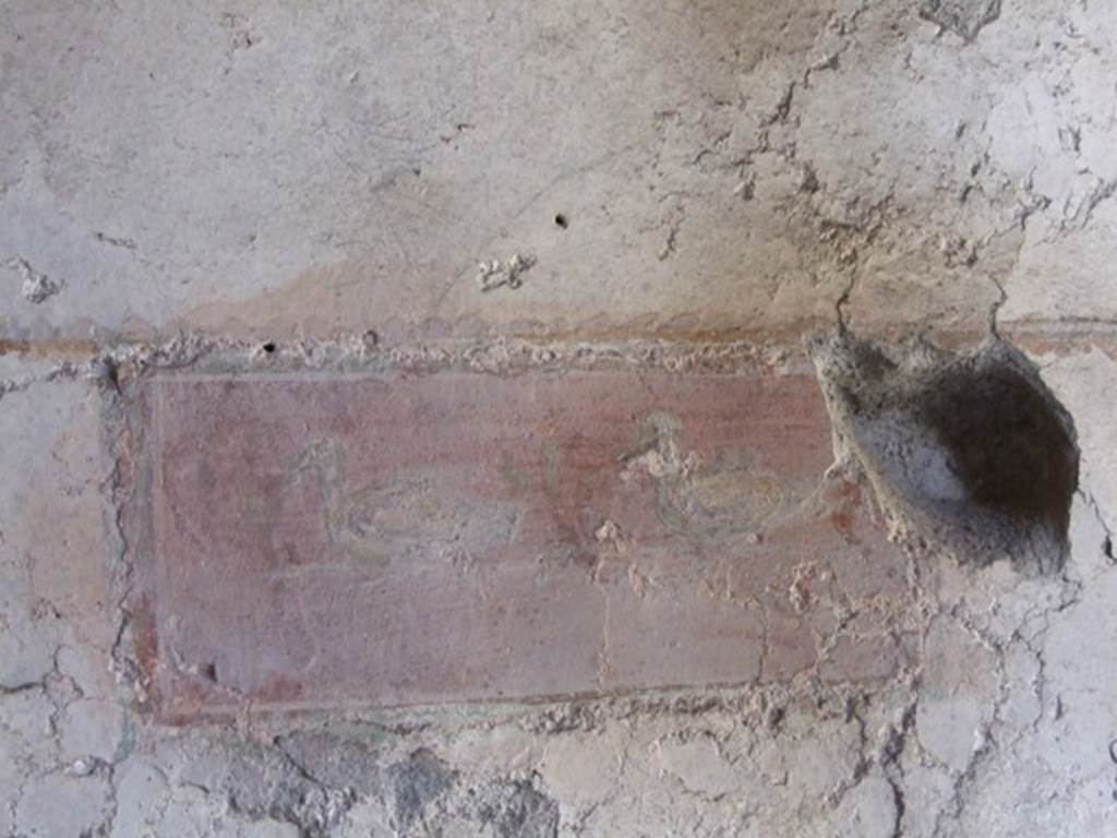I.10.11 Pompeii.  March 2009.  Room 10.  Peristyle.  North wall.  Painting of ducks.