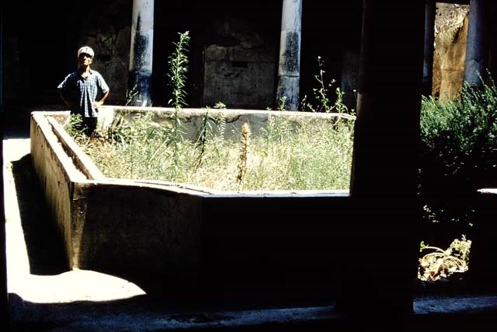 I.10.11 Pompeii. 1959. Room 10, looking east across the north side of the peristyle. Photo by Stanley A. Jashemski.
Source: The Wilhelmina and Stanley A. Jashemski archive in the University of Maryland Library, Special Collections (See collection page) and made available under the Creative Commons Attribution-Non Commercial License v.4. See Licence and use details.
J59f0124
