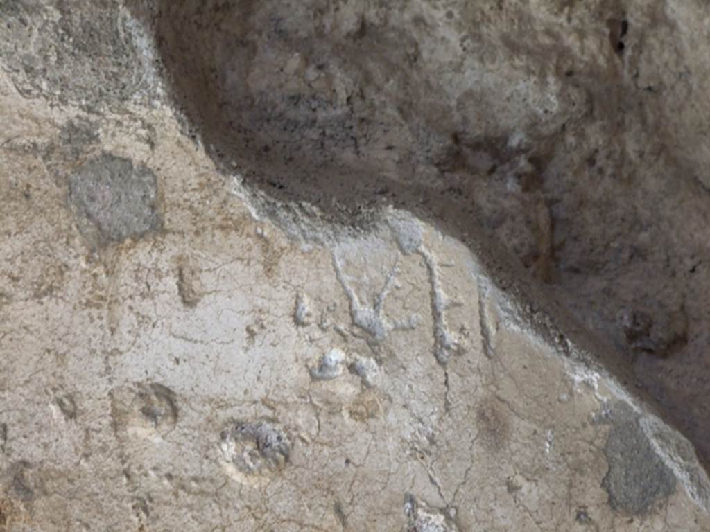 I.10.11 Pompeii. March 2009. Room 10, east of the staircase, plaster on north wall of the peristyle. 
Remains of part of graffito “Venus”      [CIL IV 8404a]

