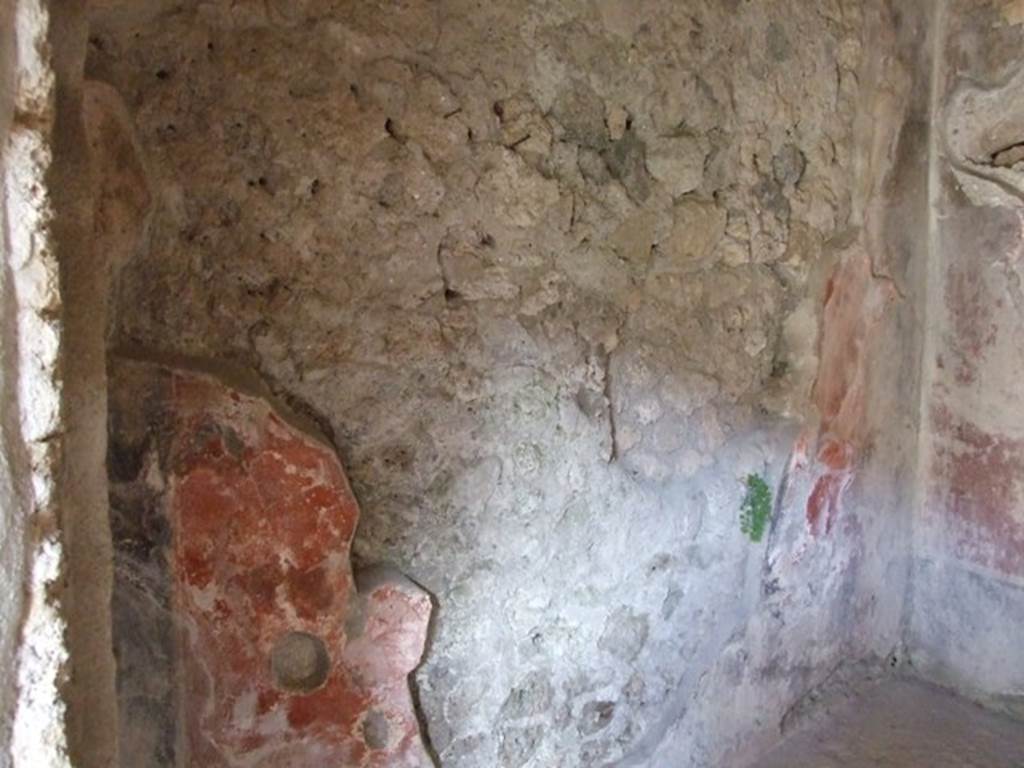 I.10.11 Pompeii.  March 2009.  Room 11.  Oecus.  North wall.