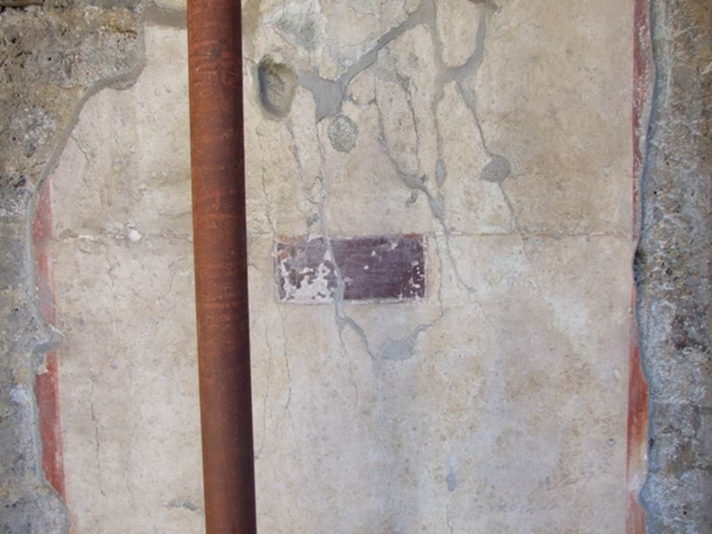 I.10.11 Pompeii. March 2009. Room 10, “violet” panel on wall between room 11 and 12, on east wall of peristyle. According to PPP, a possible site of graffito, but CIL IV not numbered.  
