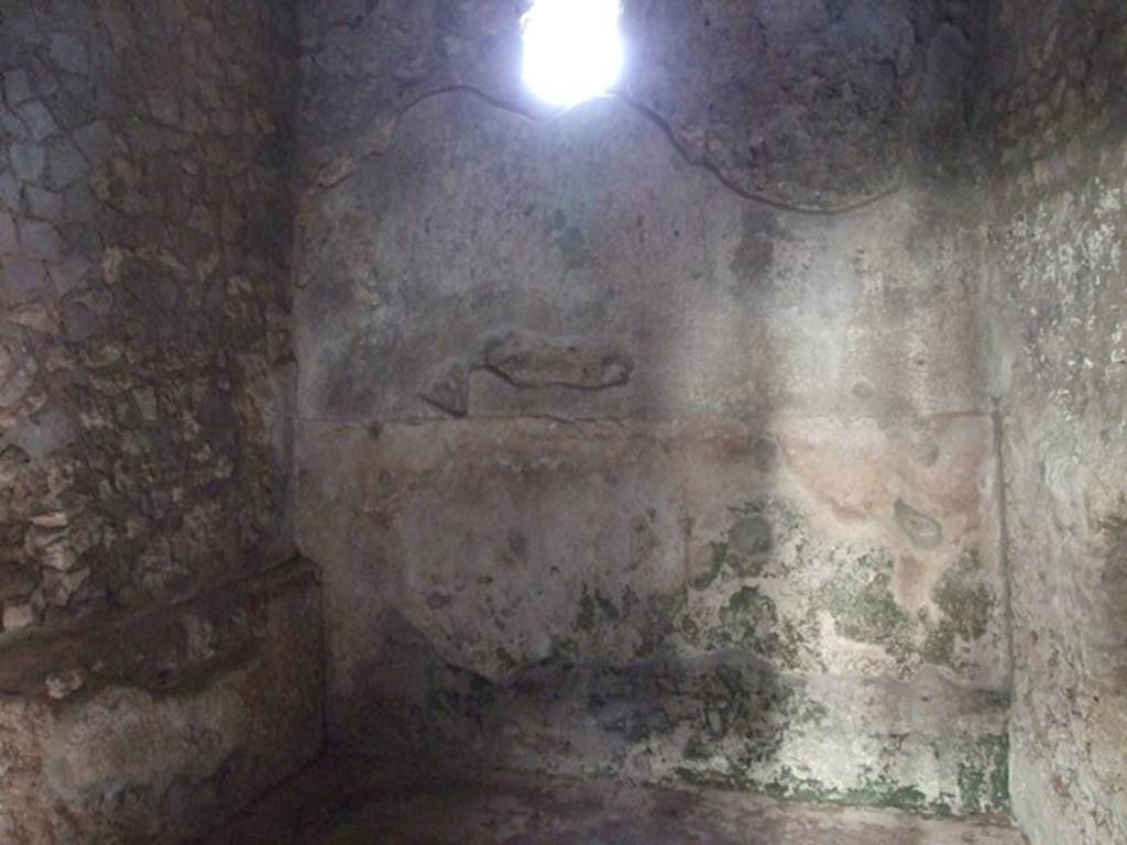I.10.11 Pompeii.  March 2009.  Room 18.  South wall.