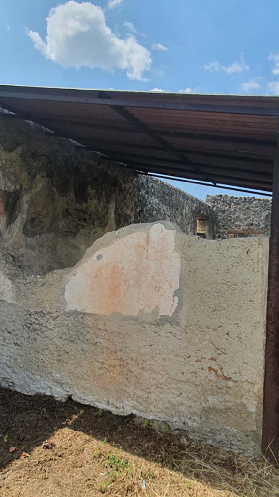 I.11.10 Pompeii. July 2021. 
West wall of small room, detail of remaining painted plaster.  
Foto Annette Haug, ERC Grant 681269 DÉCOR. 
