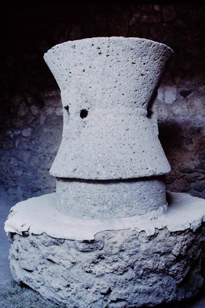 I.12.2 and I.12.1 Pompeii. 1964. Room 19, mill. Photo by Stanley A. Jashemski.
Source: The Wilhelmina and Stanley A. Jashemski archive in the University of Maryland Library, Special Collections (See collection page) and made available under the Creative Commons Attribution-Non Commercial License v.4. See Licence and use details.
J64f1950
