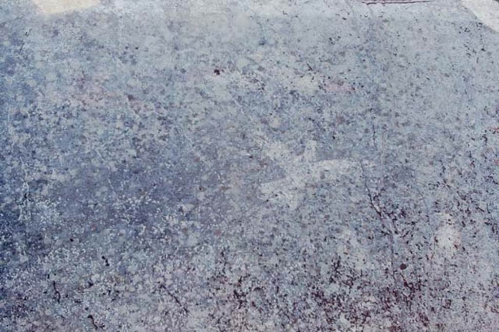 I.12.3 Pompeii, 1968. Painted bird from upper centre of south wall.  Photo by Stanley A. Jashemski.
Source: The Wilhelmina and Stanley A. Jashemski archive in the University of Maryland Library, Special Collections (See collection page) and made available under the Creative Commons Attribution-Non Commercial License v.4. See Licence and use details. J68f0755

