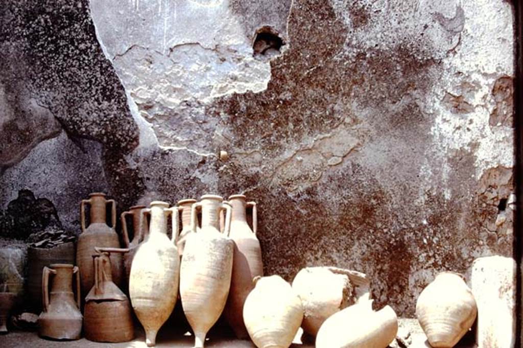 I.12.3 Pompeii. 1974. Room 6, looking towards west wall of garden area. Photo by Stanley A. Jashemski.   .   
Source: The Wilhelmina and Stanley A. Jashemski archive in the University of Maryland Library, Special Collections (See collection page) and made available under the Creative Commons Attribution-Non Commercial License v.4. See Licence and use details. J74f0850
