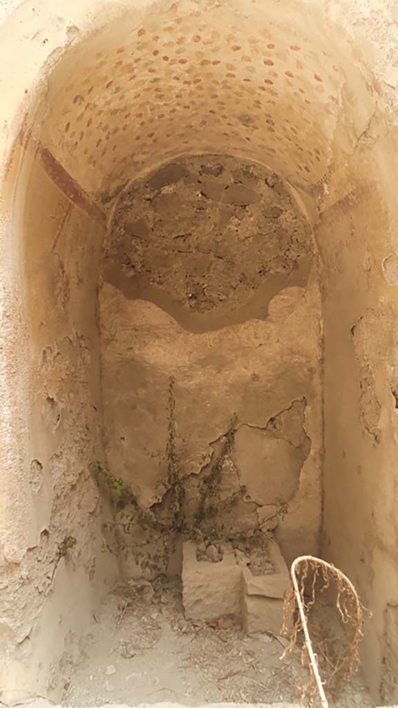 I.12.5 Pompeii. July 2021. Looking east to painted lararium.
Foto Annette Haug, ERC Grant 681269 DÉCOR.