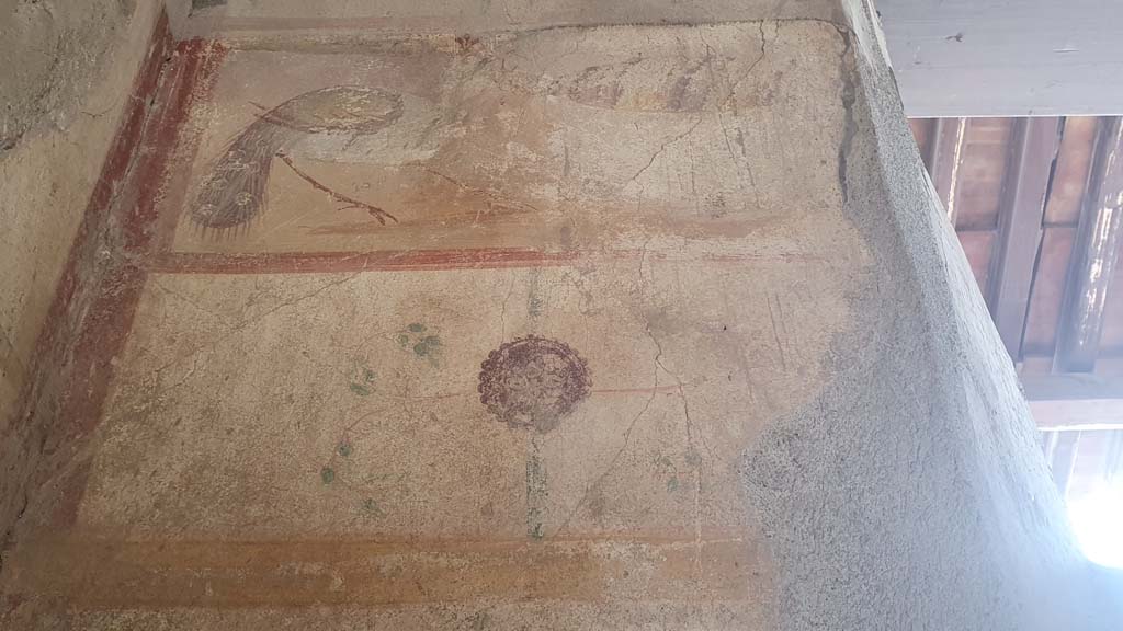 I.12.5 Pompeii. July 2021. Detail of painted decoration on upper north wall on west side of window.
Foto Annette Haug, ERC Grant 681269 DÉCOR.
