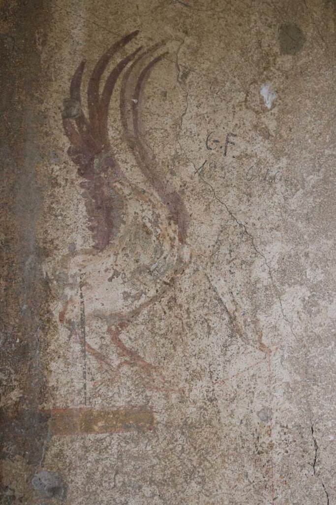 I.12.5 Pompeii. December 2018. 
Detail from painted decoration on west side of north wall of cubiculum. Photo courtesy of Aude Durand.
