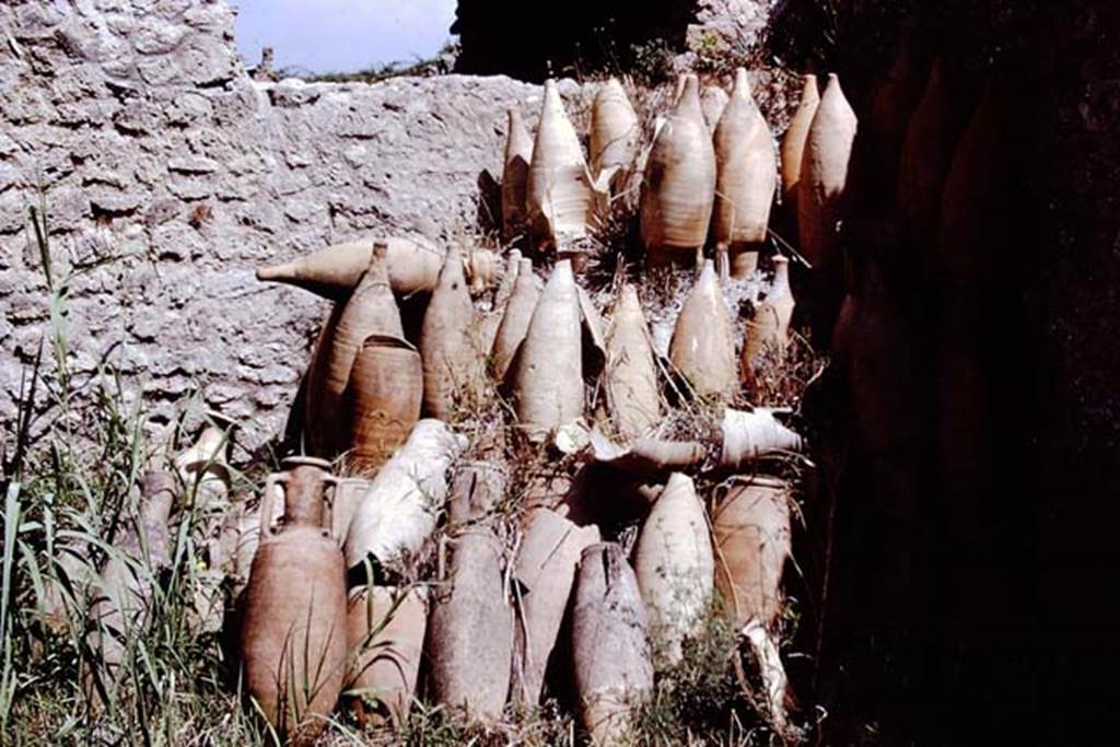 I.12.8 Pompeii. 1972. Room13, empty amphorae in north-east corner of rear garden. Photo by Stanley A. Jashemski.
Source: The Wilhelmina and Stanley A. Jashemski archive in the University of Maryland Library, Special Collections (See collection page) and made available under the Creative Commons Attribution-Non Commercial License v.4. See Licence and use details. J72f0380