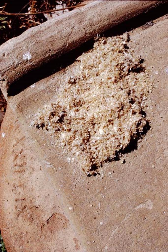 I.12.8 Pompeii. 1972. Amphora with residue of garum. Photo by Stanley A. Jashemski.
Source: The Wilhelmina and Stanley A. Jashemski archive in the University of Maryland Library, Special Collections (See collection page) and made available under the Creative Commons Attribution-Non Commercial License v.4. See Licence and use details. J72f0378