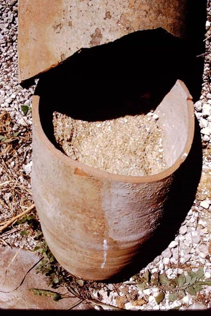 I.12.8 Pompeii. 1972. Amphora with garum. Photo by Stanley A. Jashemski.
Source: The Wilhelmina and Stanley A. Jashemski archive in the University of Maryland Library, Special Collections (See collection page) and made available under the Creative Commons Attribution-Non Commercial License v.4. See Licence and use details. J72f0379
