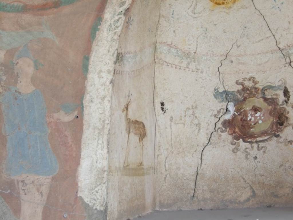 I.12.15 Pompeii. March 2009. Room 5, north side of lararium niche.