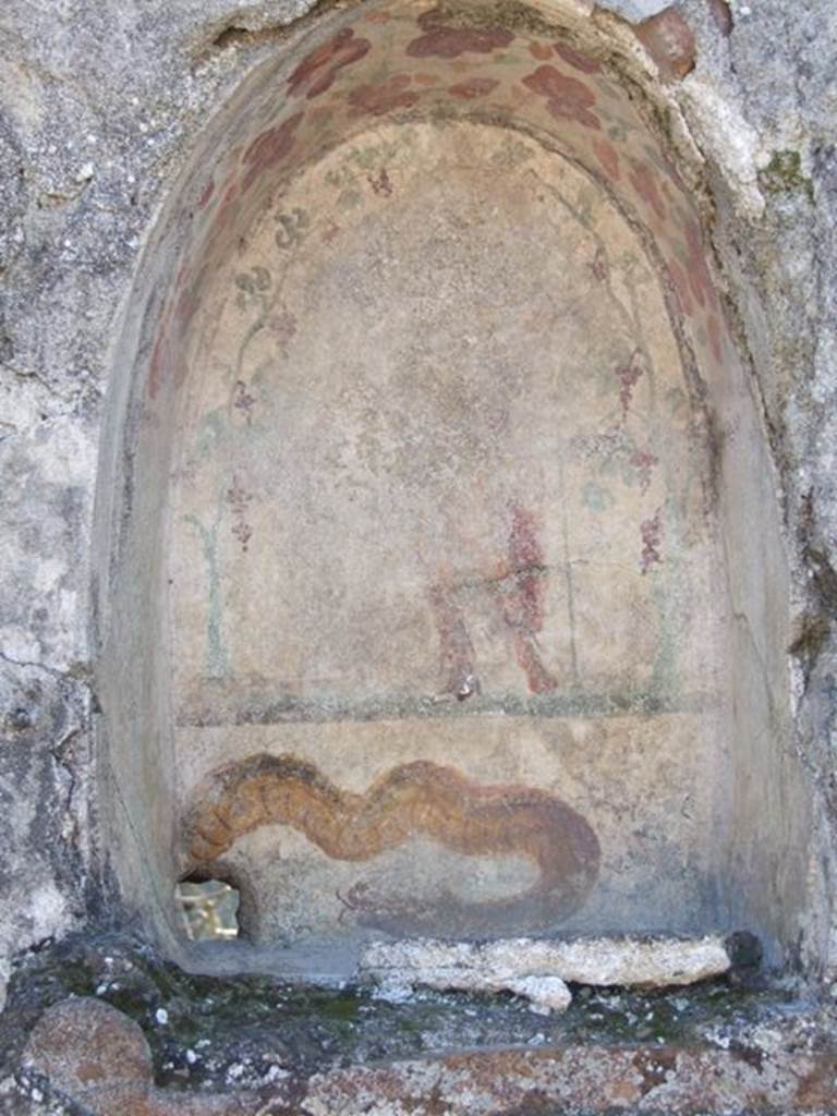 I.12.16 Pompeii.  March 2009.  Room 1. Atrium.  South wall. Niche.  On the back wall stands Bacchus wearing a red mantel and holding a Thyrsus.  Underneath is a painted brown serpent that appears to come from a real hole in the bottom left corner.  See Fr�hlich, T., 1991. Lararien und Fassadenbilder in den Vesuvst�dten. Mainz: von Zabern. (L28, T:29,1).