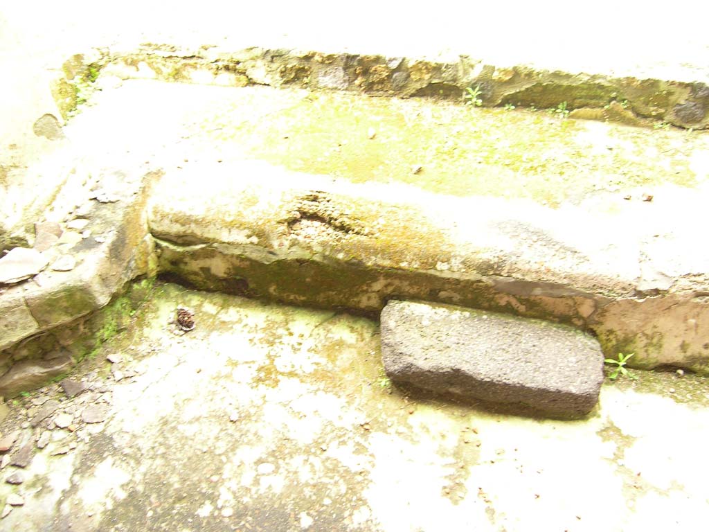 I.14.2 Pompeii. July 2008. Area L, detail. Photo courtesy of Guilhem Chapelin.