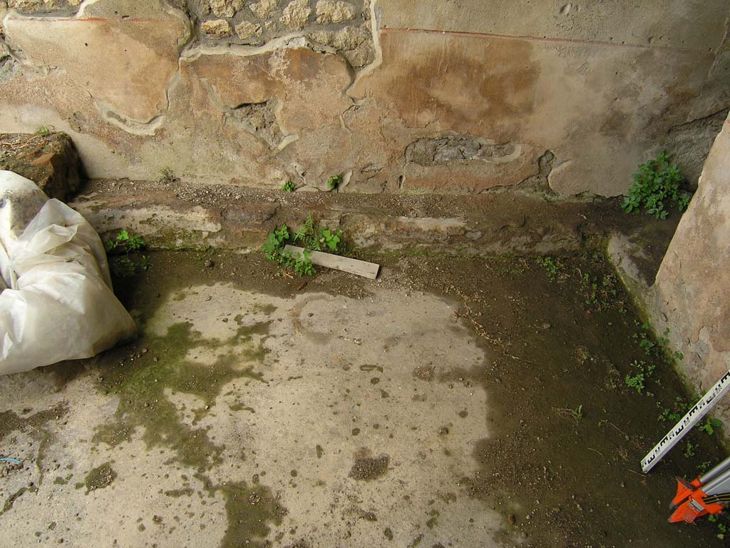 I.14.2 Pompeii. July 2008. Concrete covered area L, looking towards north wall. Photo courtesy of Guilhem Chapelin.