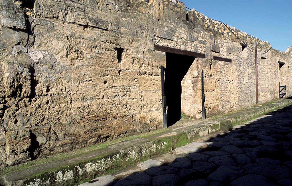 I.14.2 Pompeii. Entrance on Via di Nocera.
Fig. 145 � Fa�ade de la maison I 14, 2 sur la via di Nocera, vue du sud au nord (� CNRS-CCJ, Christine Durand).
Voir Chapitre 2 : L�atelier de fabrication de nattes de la via di Nocera (I 14, 2) in Magali Cullin-Mingaud, 2010. La vannerie dans l'Antiquit� romaine: Collection du Centre Jean B�rard 35. Paris. Centre Jean Berard, p. 129-171, fig. 145.
https://books.openedition.org/pcjb/706
