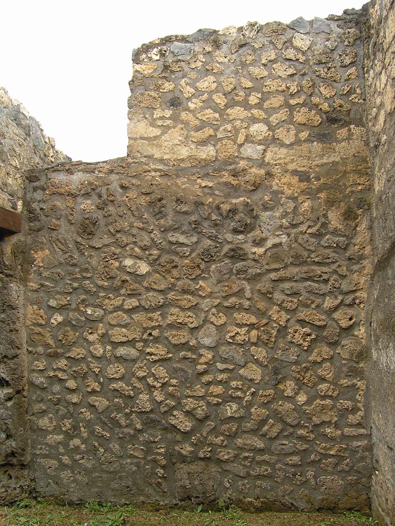 I.14.2 Pompeii. July 2008. Room D, north wall. Photo courtesy of Guilhem Chapelin. 


