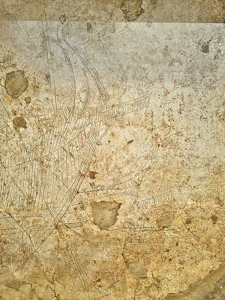I.15.3 Pompeii. September 2024. 
North wall of portico 10, detail from ship Europa. Photo courtesy of Giuseppe Ciaramella.
